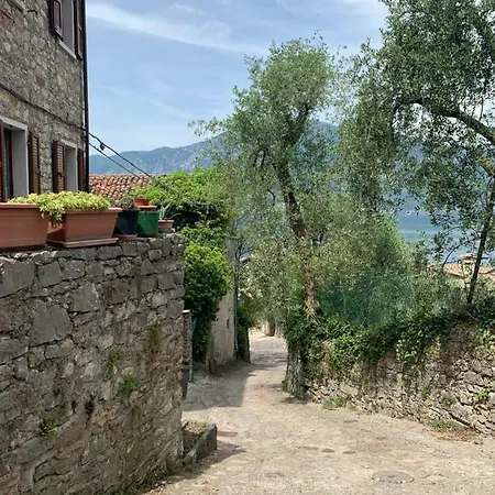 Casa Joy